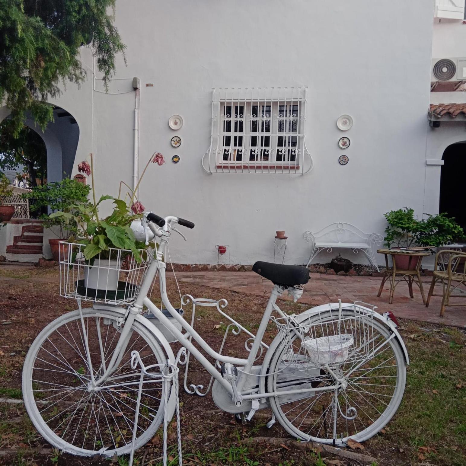 Bed and Breakfast Da Tea San Teodoro  Exterior foto